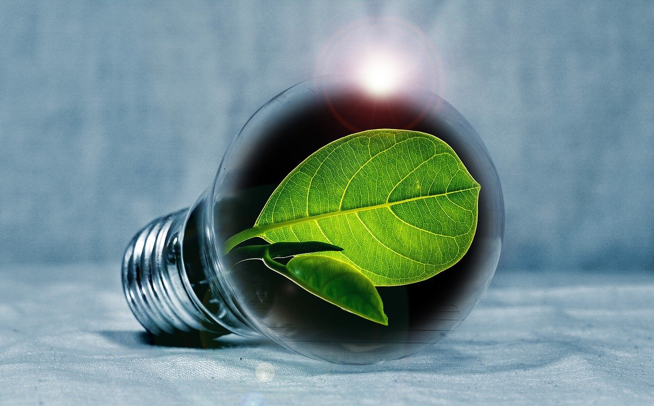Sustentabilidade na gestão de energia nas empresas